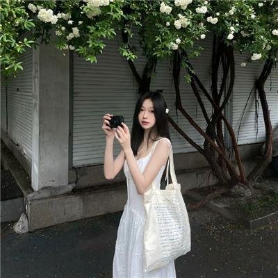 大唐女巡按